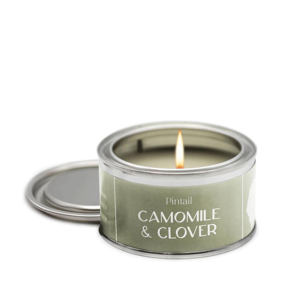 Pintail Candles Camomile & Clover Paint Pot Candle £5.18